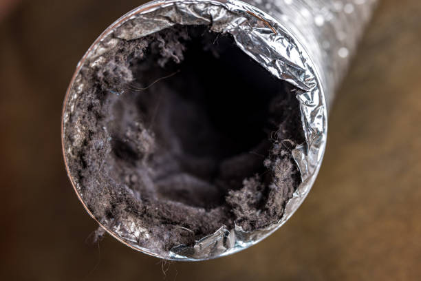 Best Air Duct Cleaning Near Me  in Roberta, GA